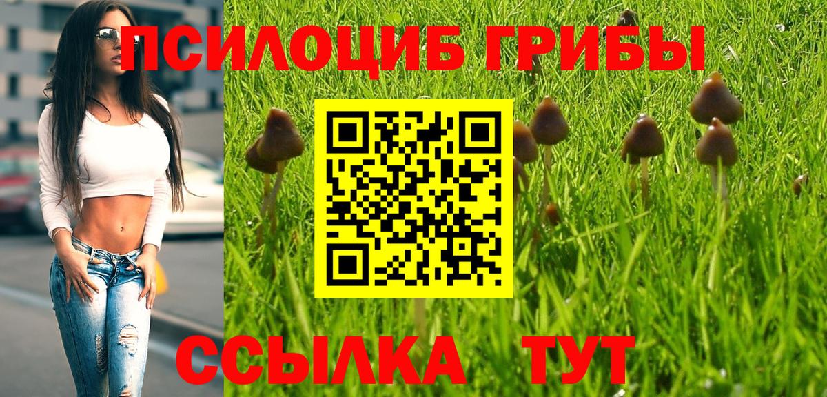 Псилоцибиновые грибы мицелий  Вход с VPN  Гатчина 