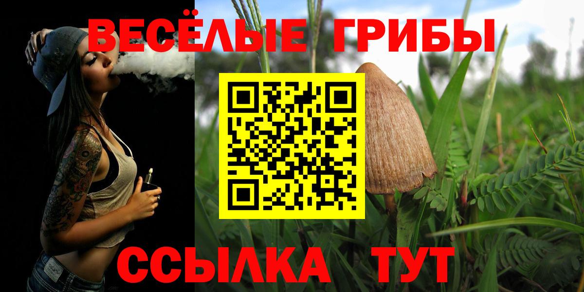Псилоцибиновые грибы мухоморы Гатчина